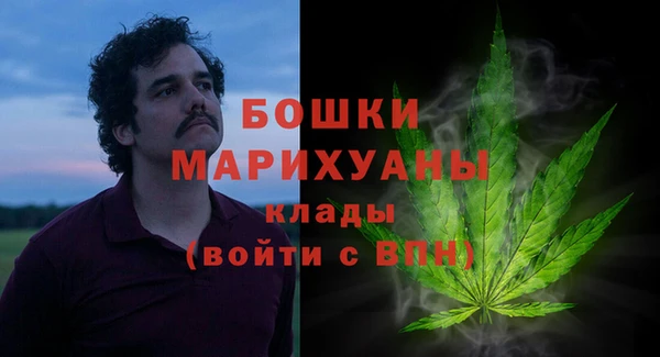 гидра Белоозёрский