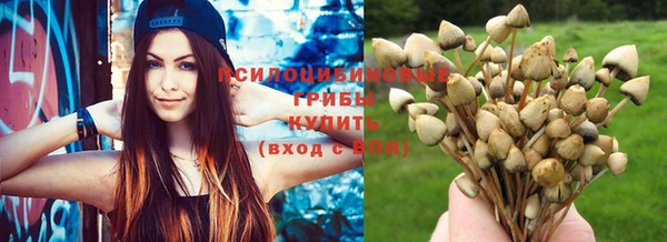mix Белокуриха