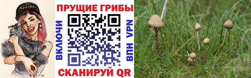 Галлюциногенные грибы ЛСД Пестово